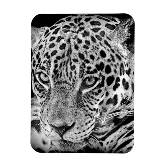 エキゾチック・ジャガー マグネット (縦)