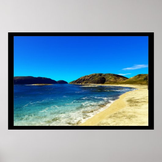 エキゾチック – トロピカル ポスター (正面)