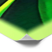 エキゾチック・ドラゴンフルーツ開花 ポスター (角)