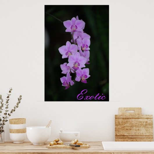 エキゾチック ポスター (キッチン)