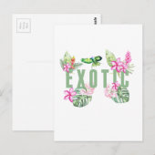 エキゾチック ポストカード (正面/裏面)