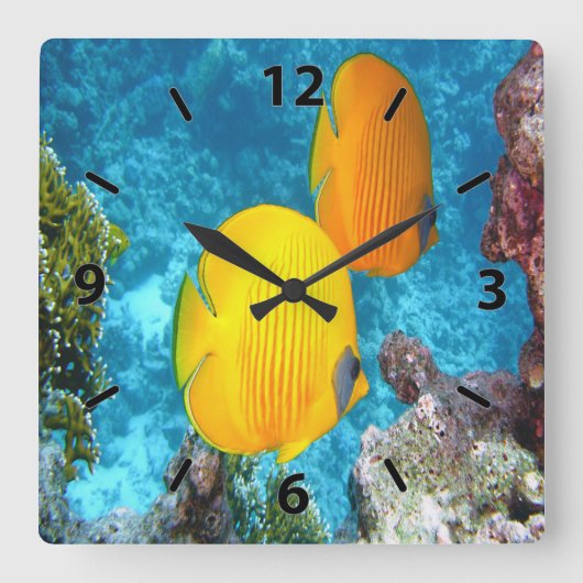 エキゾチョウ魚 スクエア壁時計 (正面)