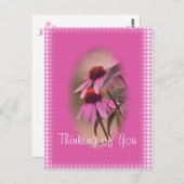 エキナセアとサースクカー葉書 – パーソナライズ ポストカード (正面/裏面)