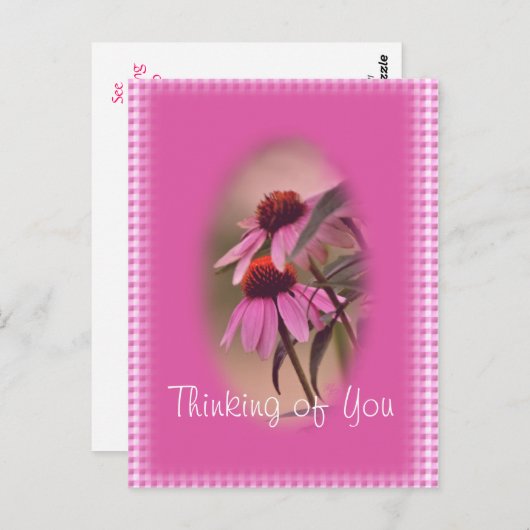 エキナセアとサースクカー葉書 – パーソナライズ ポストカード (正面/裏面)