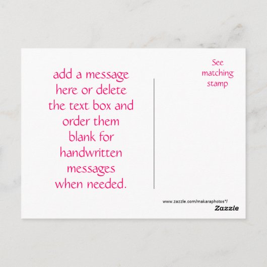 エキナセアとサースクカー葉書 – パーソナライズ ポストカード (裏面)