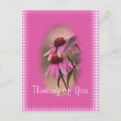 エキナセアとサースクカー葉書 – パーソナライズ ポストカード (正面)