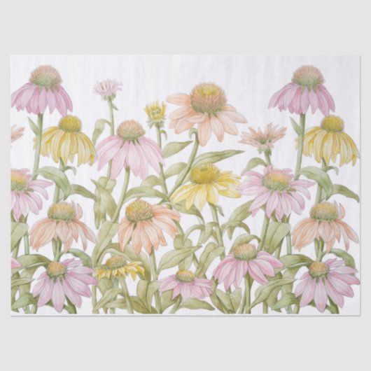 エキナセアの水彩植物画 薄葉紙 (正面)