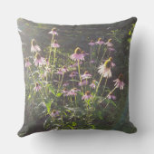 エキナセアの花in the Sun クッション (裏面)