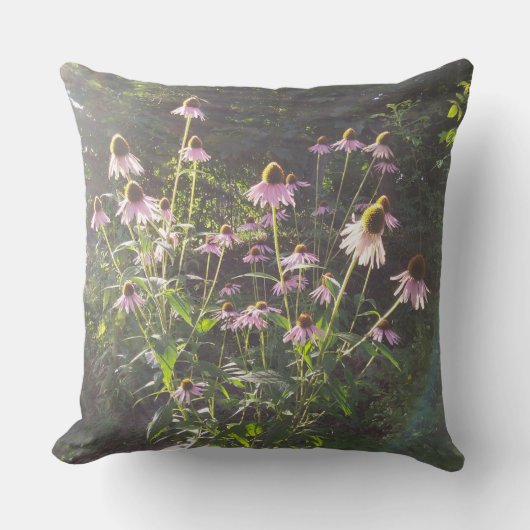 エキナセアの花in the Sun クッション (正面)