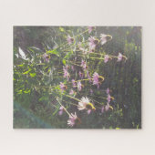 エキナセアの花in the Sun ジグソーパズル (横)