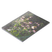 エキナセアの花in the Sun ノートブック (左側)