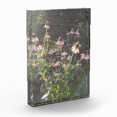 エキナセアの花in the Sun フォトブロック (左)