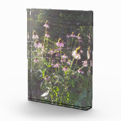 エキナセアの花in the Sun フォトブロック (右)