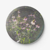 エキナセアの花in the Sun ペーパープレート (正面)