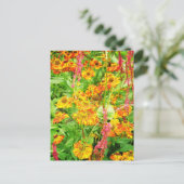 エキナセアの黄色い花 ポストカード (スタンド正面)