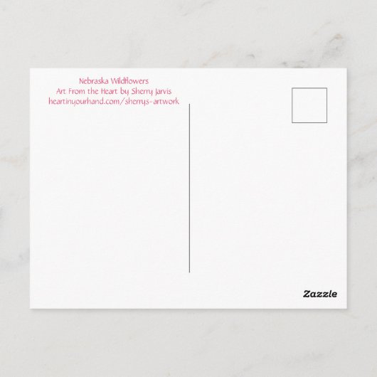 エキナセアパープルコナフロアーポストカード ポストカード (裏面)