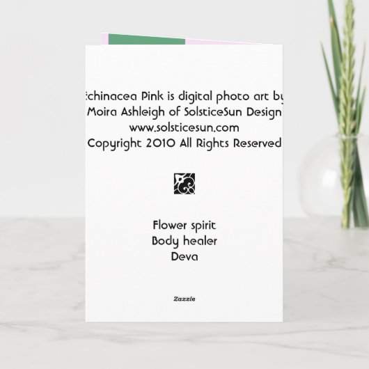 エキナセアピンク カード (裏面)