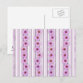 エキナセアフラワーストライプ ポストカード (正面/裏面)