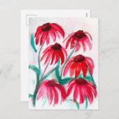 エキナセア花開花 – 水彩スタイル シーズンポストカード (正面/裏面)