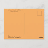 エキナセア・コンフォア・ビー ポストカード (裏面)