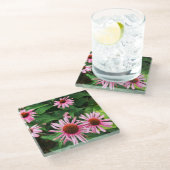 エキナセア・プルプレア、紫のベニバナ ガラスコースター (アングル)