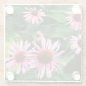 エキナセア・プルプレア、紫のベニバナ ガラスコースター (裏面)