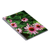 エキナセア・プルプレア、紫のベニバナ ノートブック (右側)