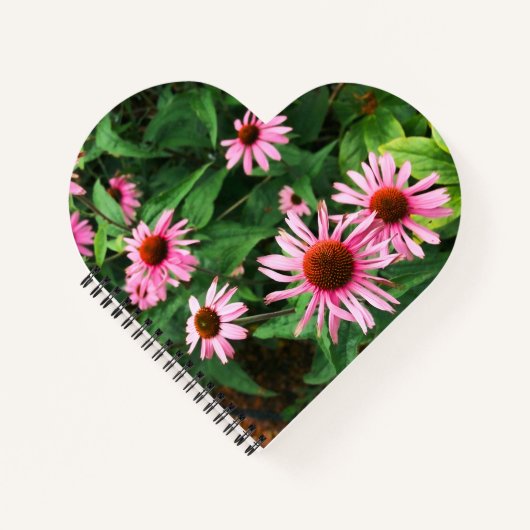 エキナセア・プルプレア、紫のベニバナ ノートブック (正面)