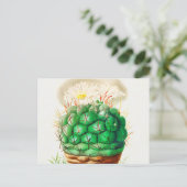 エキノカクタス図解入りの、写真付きのヴィンテージ ポストカード (スタンド正面)