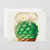 エキノカクタス図解入りの、写真付きのヴィンテージ ポストカード (正面/裏面)