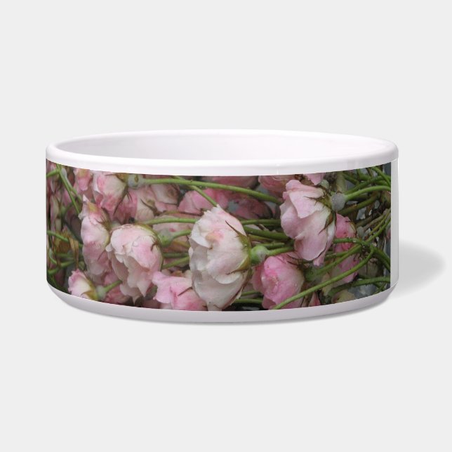 エキュエルポアアニュアンセラミク ボウル (右)