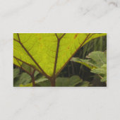 エクアドルにある植物園の植物の詳細2 名刺 (裏面)