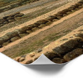 エクアドルのインガルカインカ遺跡 ポスター (角)