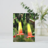 エクアドルのインガルカインカ遺跡 ポストカード (スタンド正面)