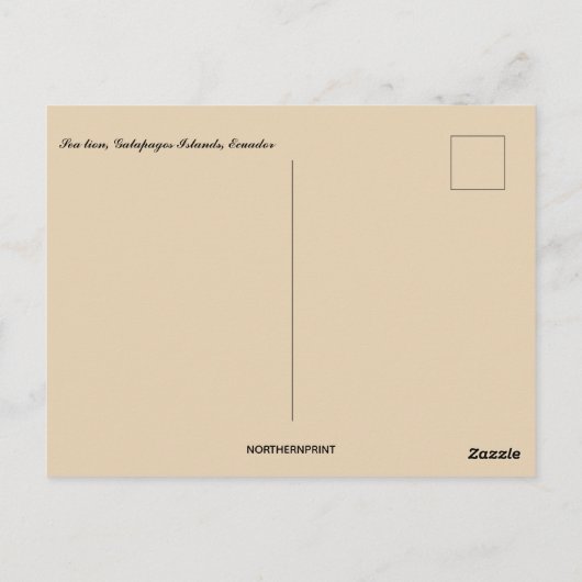 エクアドルのガラパゴス諸島のアシカ ポストカード (裏面)