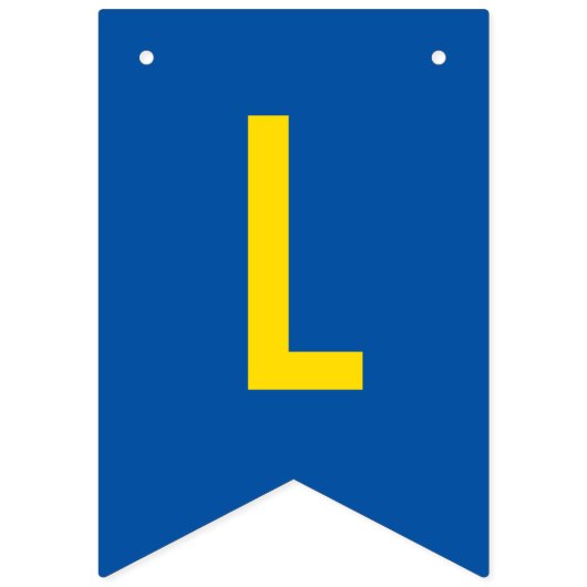 エクアドルの誕生日パーティーの飾り旗 バンティングフラッグ (第3の旗)