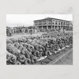 エクアドルペルトボリバル ポストカード