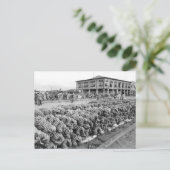 エクアドルペルトボリバル ポストカード (スタンド正面)