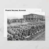 エクアドルペルトボリバル ポストカード (正面/裏面)