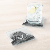 エクアドル・エルミットカニC.コンプレッサコースター ガラスコースター (アングル)