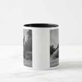 エクアドル、ガラパゴス諸島国立公園、サンタ マグカップ (中央)