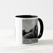 エクアドル、ガラパゴス諸島国立公園、サンタ マグカップ (正面右)