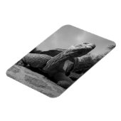 エクアドル、ガラパゴス諸島国立公園、サンタ マグネット (左側)