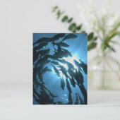 エクアドル、ガラパゴス諸島、ウルフ島、 ポストカード (スタンド正面)