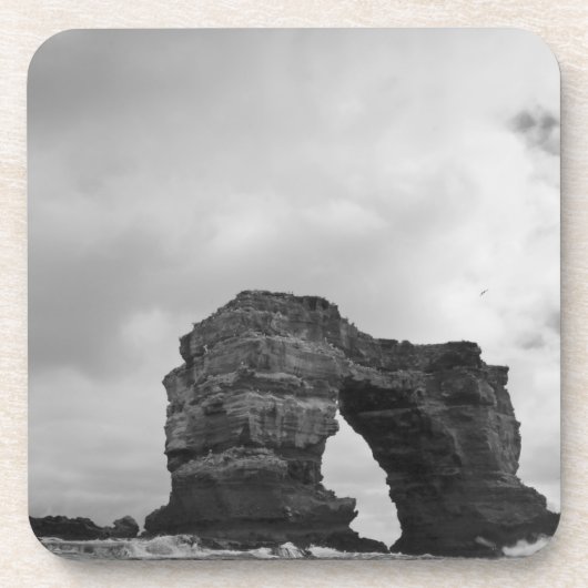 エクアドル、ガラパゴス諸島、ダーウィン島、波 コースター (正面)