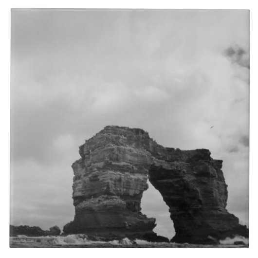エクアドル、ガラパゴス諸島、ダーウィン島、波 タイル (正面)