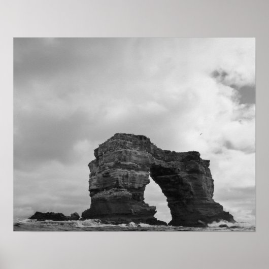 エクアドル、ガラパゴス諸島、ダーウィン島、波 ポスター (正面)