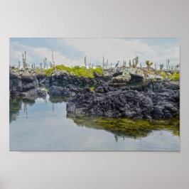 エクアドル，ガラパゴス諸島，ロストゥネレス ポスター