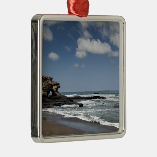 エクアドル、ガラパゴス、サンティアゴ、アカ·ジェームズ)。4 メタルオーナメント (右)