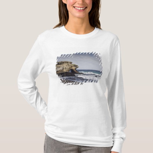 エクアドル、ガラパゴス、サンティアゴ(別名ジェームズ島) Tシャツ (正面)